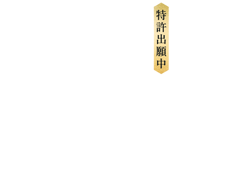 特許出願中