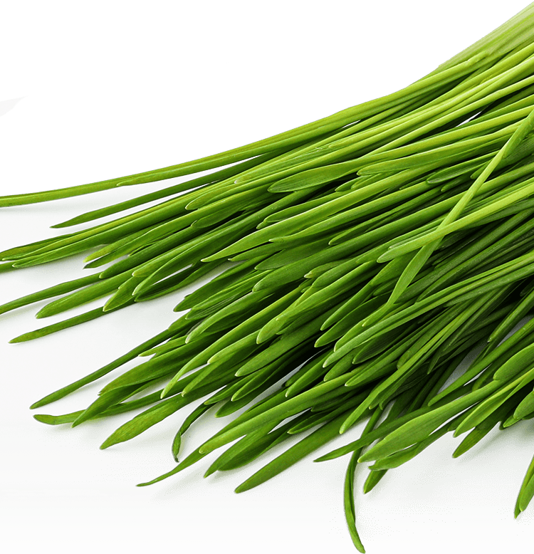 草
