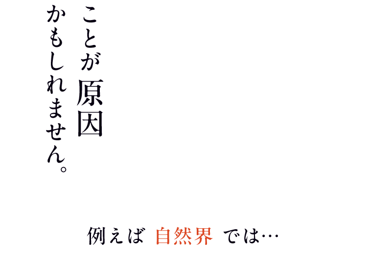 ことが原因かもしれません。例えば自然界では…