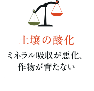 土壌の酸化ミネラル吸収が悪化、 作物が育たない