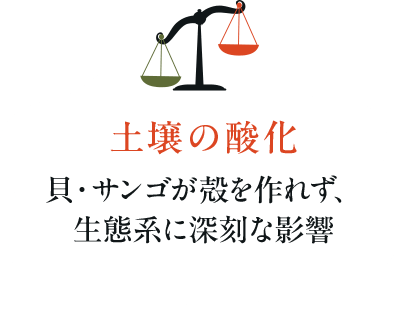 土壌の酸化貝・サンゴが殻を作れず、 生態系に深刻な影響
