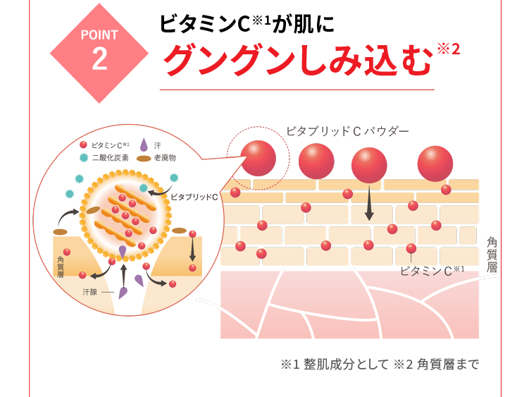 POINT2 ビタミンC※1が肌にグングンしみ込む※2 ※1整肌成分として ※2角質層まで
