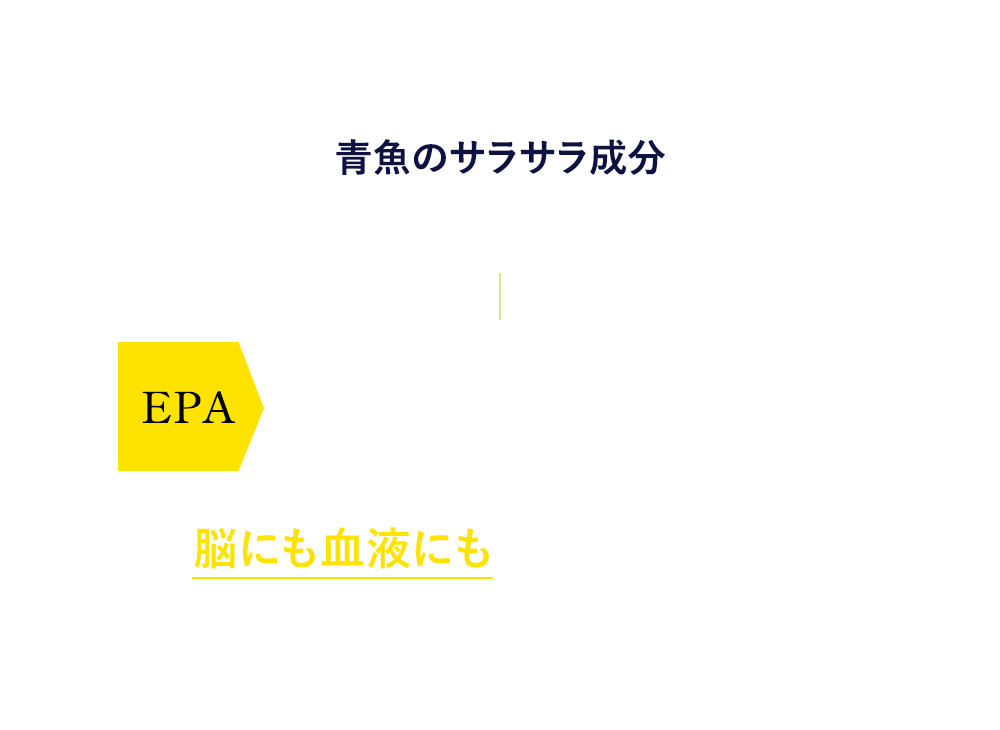 青魚のサラサラ成分更にすごいのが　EPA血中中性脂肪の減少  脳にも血液にも嬉しい成分です。※1 血中中性脂肪減少 血中中性脂肪が増えてしまうと…