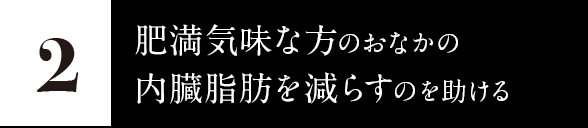2.肥満気味な方のおなかの内臓脂肪を減らすのを助ける