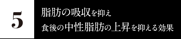 5.脂肪の吸収を抑え、食後の中性脂肪の上昇を抑える