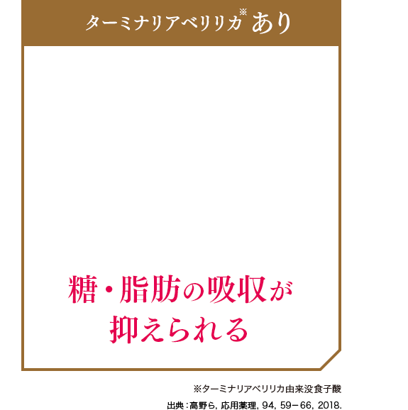 ※ターミナリアベリリカ由来没食子酸 出典：高野ら，応用薬理，94，59－66，2018. 