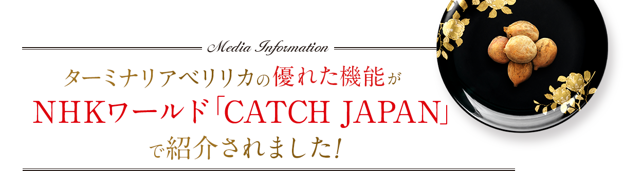 ターミナリアベリリカの優れた機能がNHKワールド「CATCH JAPAN」で紹介されました！