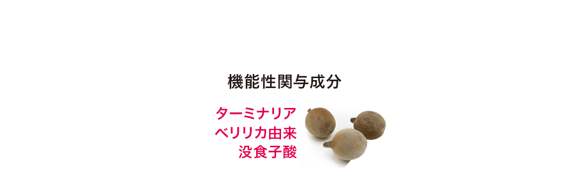 機能性関与成分 糖や脂肪の吸収を抑えるターミナリアベリリカ由来没食子酸