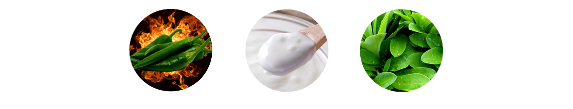 青唐辛子 生きたまま届く乳酸菌 サラシア