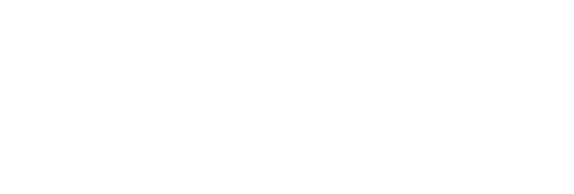 機能性関与成分が食後の血糖値・中性脂肪の上昇を抑制* ※ターミナリアベリリカ由来没食子酸の機能