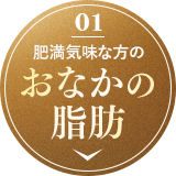 肥満気味な方のおなかの脂肪