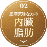肥満気味な方の内臓脂肪