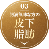 肥満気味な方の皮下脂肪