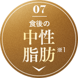 食後の中性脂肪