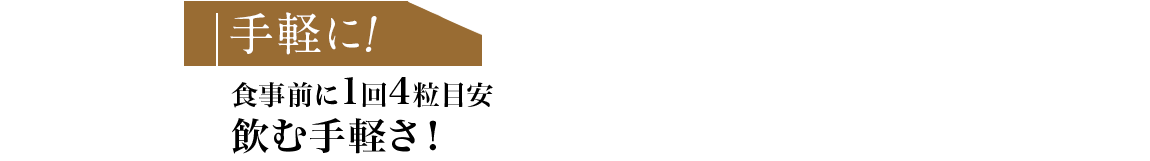 手軽に！食事前に1回4粒目安飲む手軽さ！
