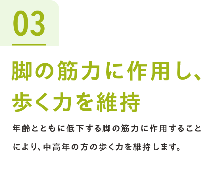 03脚の筋力に作用し、歩く力を維持 年齢とともに低下する脚の筋力に作用することにより、中高年の方の歩く力を維持します。