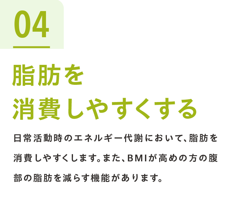 04脂肪を消費しやすくする 日常活動時のエネルギー代謝において、脂肪を消費しやすくします。また、BMIが高めの方の腹部の脂肪を減らす機能があります。