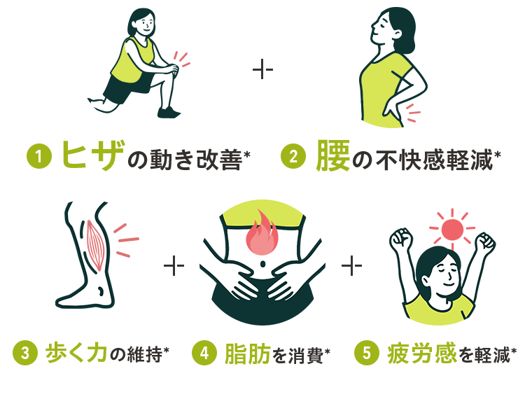 ヒザの動き改善＊、腰の不快感軽減＊ 、歩く力の維持＊、脂肪を消費＊、疲労感を軽減＊