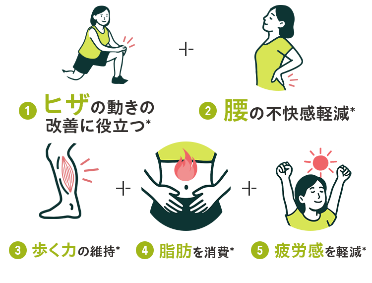 ヒザの動き改善＊、腰の不快感軽減＊ 、歩く力の維持＊、脂肪を消費＊、疲労感を軽減＊