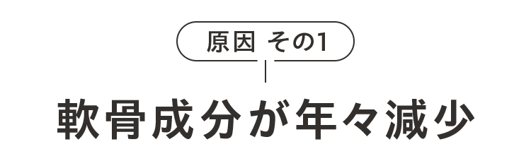原因その1軟骨成分が年々減少