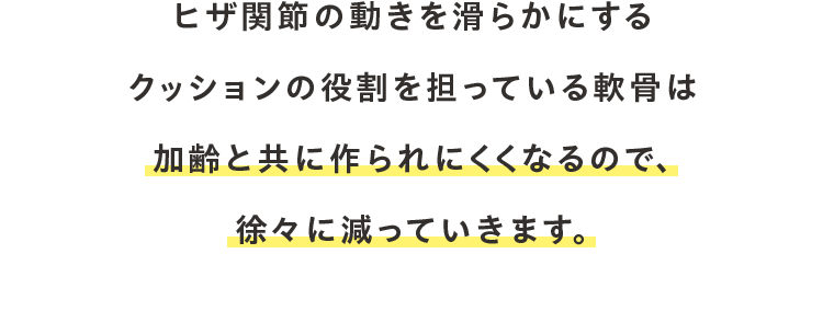ヒザ関節の動きを滑らかにするクッションの役割を担っている軟骨は 加齢と共に作られにくくなるので、 徐々に減っていきます。
