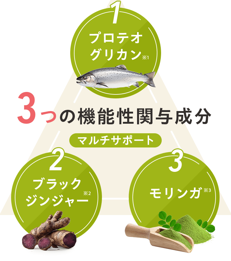 3つの機能性関与成分 1プロテオ グリカン 2ブラック ジンジャー 3モリンガ