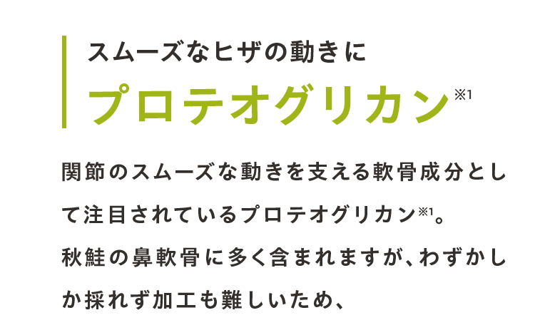 スムーズなヒザの動きにプロテオグリカン 関節のスムーズな動きを支える軟骨成分として注目されているプロテオグリカン※1。秋鮭の鼻軟骨に多く含まれますが、わずかしか採れず加工も難しいため、
