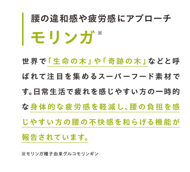 腰の違和感や疲労感にアプローチ 効果を確認済み！モリンガ 世界で「生命の木」や「奇跡の木」などと呼ばれて注目を集めるスーパーフード素材です。日常生活で疲れを感じやすい方の一時的な身体的な疲労感を軽減し、腰の負担を感じやすい方の腰の不快感を和らげる機能が報告されています。