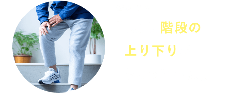 悩み その1 最近、階段の上り下りがちょっと不安