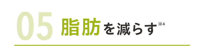 05脂肪を減らす