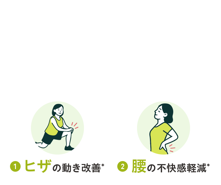 ヒザの動き改善＊ 腰の不快感軽減＊