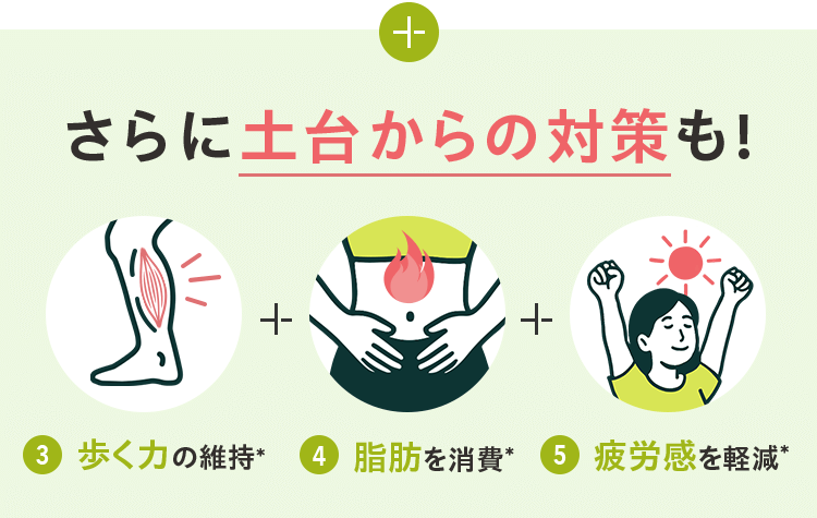 さらに土台からの対策も!歩く力の維持＊、脂肪を消費＊、疲労感を軽減＊