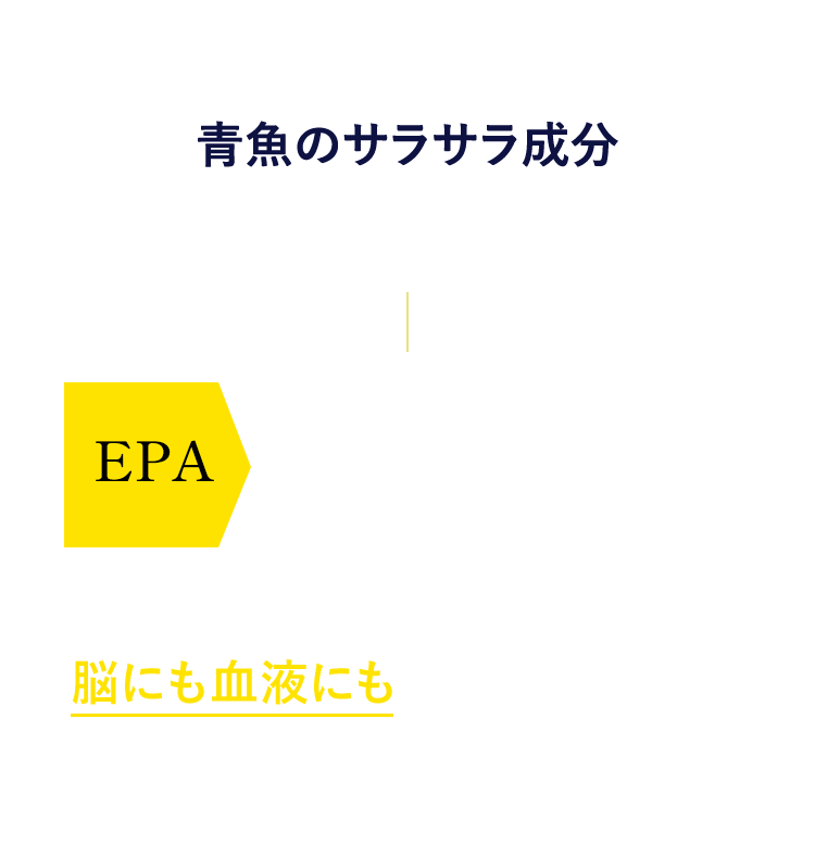 青魚のサラサラ成分更にすごいのが　EPA血中中性脂肪の減少 血液の凝固を抑える働きがあるため、 脳にも血液にも嬉しい成分です。※1 血中中性脂肪減少 血中中性脂肪が増えてしまうと…