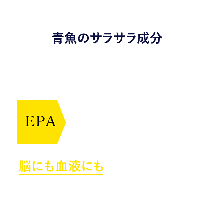 青魚のサラサラ成分更にすごいのが　EPA血中中性脂肪の減少 脳にも血液にも嬉しい成分です。※1 血中中性脂肪減少 血中中性脂肪が増えてしまうと…