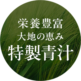 栄養豊富大地の恵み特製青汁