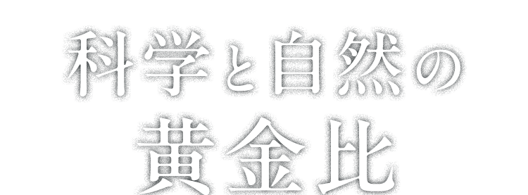 科学と自然の黄金比