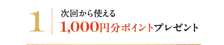 1 11,000円分ポイントプレゼント