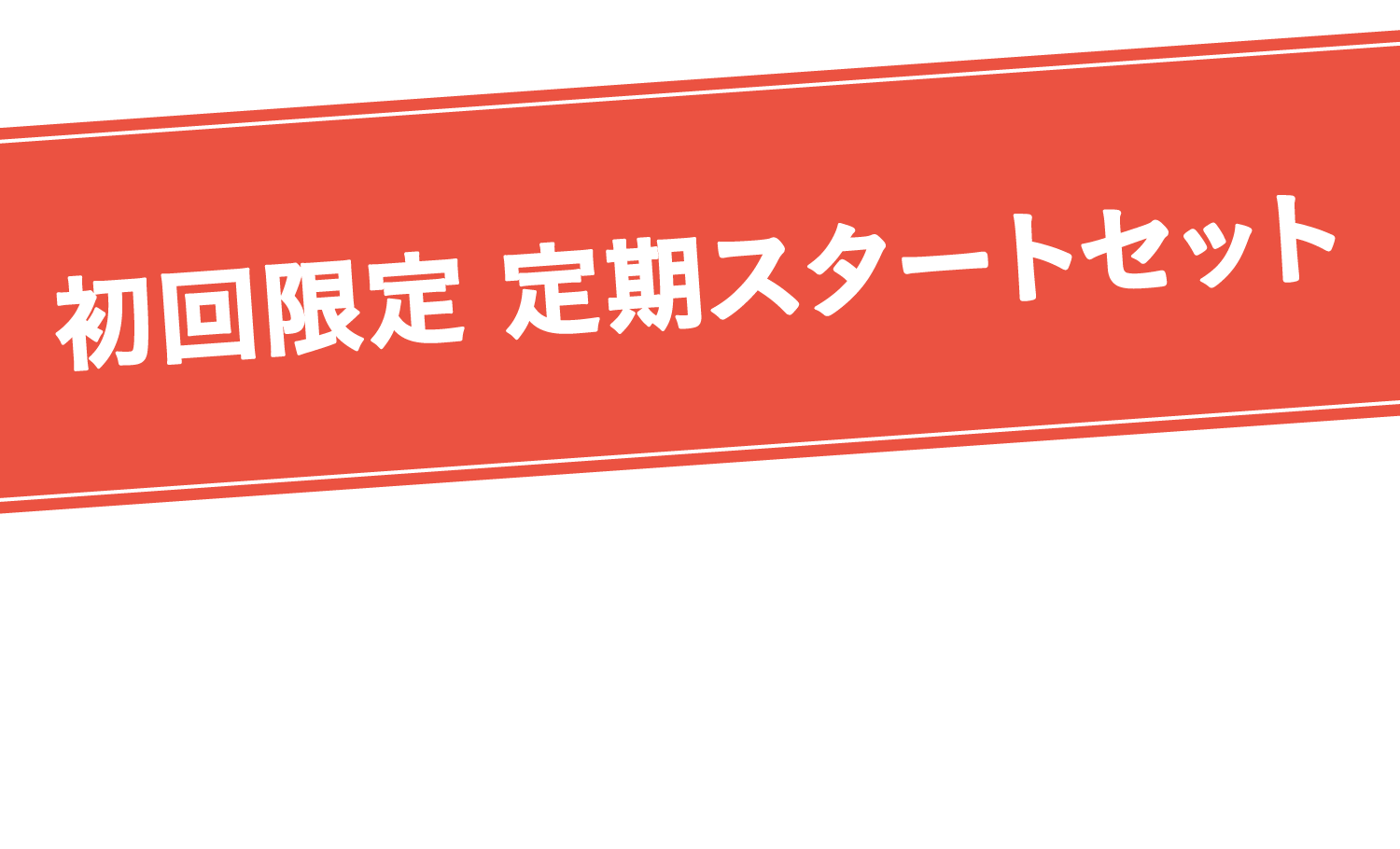 初回限定 定期スタートセット