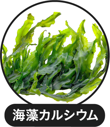 海藻カルシウム