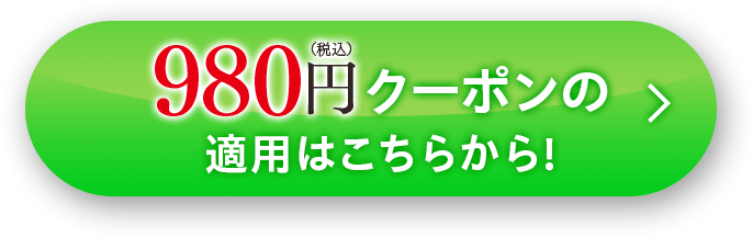 980円クーポンの適用はこちらから!