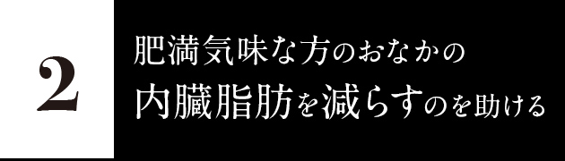 2.肥満気味な方のおなかの内臓脂肪を減らすのを助ける