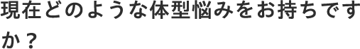 現在どのような体型悩みをお持ちですか？