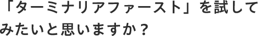 「ターミナリアファースト」を試してみたいと思いますか？