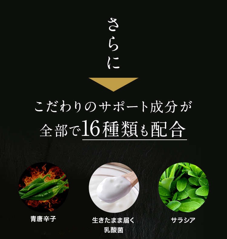 さらに こだわりのサポート成分が全部で16種類も配合 青唐辛子 生きたまま届く乳酸菌 サラシア