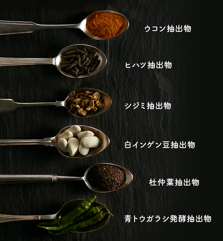ウコン抽出物 ヒハツ抽出物 シジミ抽出物 白インゲン豆抽出物 杜仲葉抽出物 青トウガラシ発酵抽出物