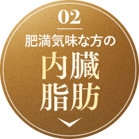 肥満気味な方の内臓脂肪