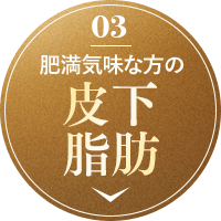 肥満気味な方の皮下脂肪