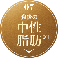 食後の中性脂肪