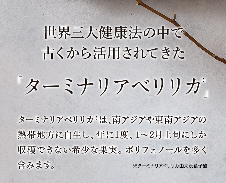 世界三大健康法のひとつであるアーユルヴェーダで古くから健康のために活用されてきた「ターミナリアベリリカ※」ターミナリアベリリカは、南アジアや東南アジアの熱帯地方に自生し、年に1度、1～2月上旬にしか収穫できない希少な果実。ポリフェノールを多く含みます。※ターミナリアベリリカ由来没食子酸