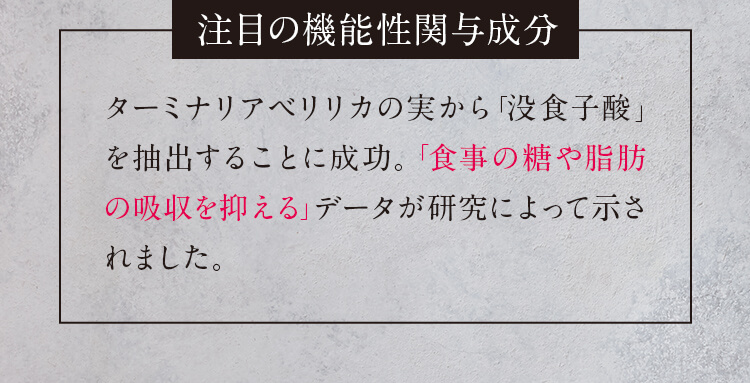 注目の機能性関与成分　ターミナリアベリリカの実から「没食子酸」を抽出捨ことに成功。「食事の糖や脂肪の吸収を抑える」データが研究によって示されました。